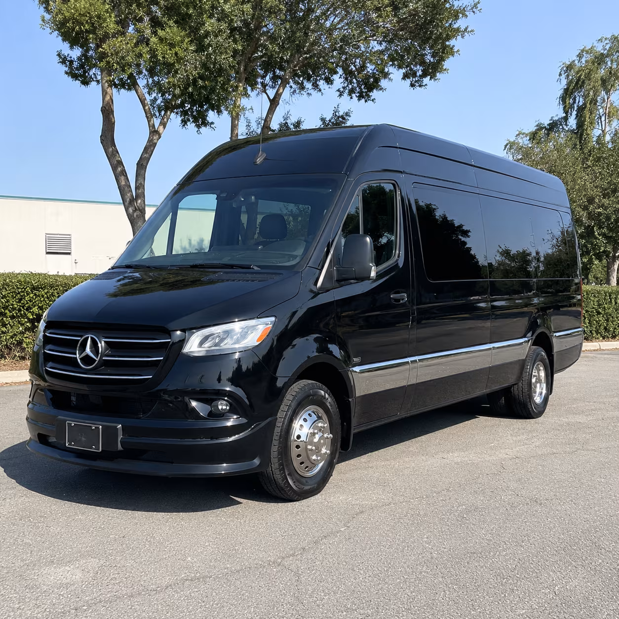 lakeland wedding sprinter van rental